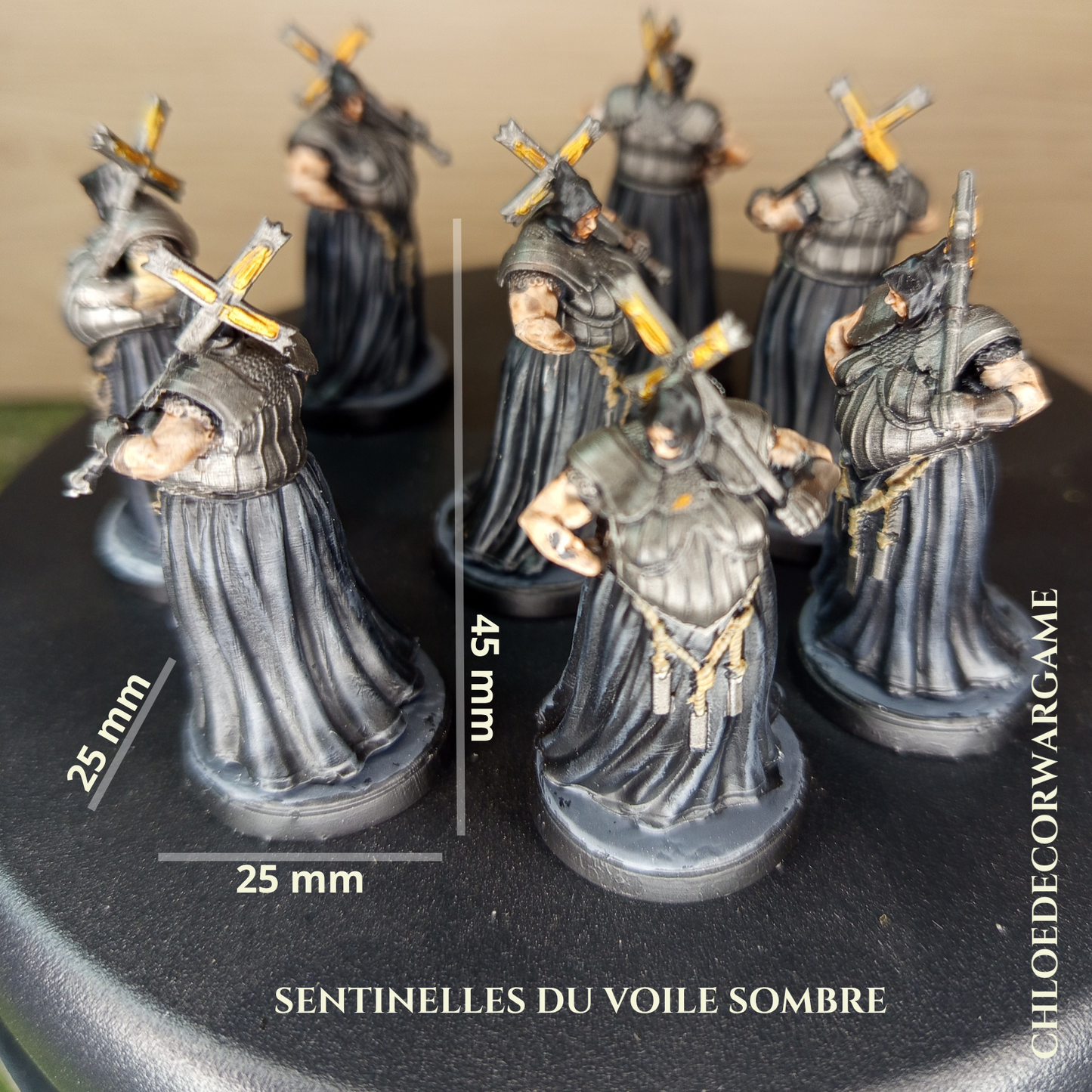 SENTINELLE DU VOILE SOMBRE