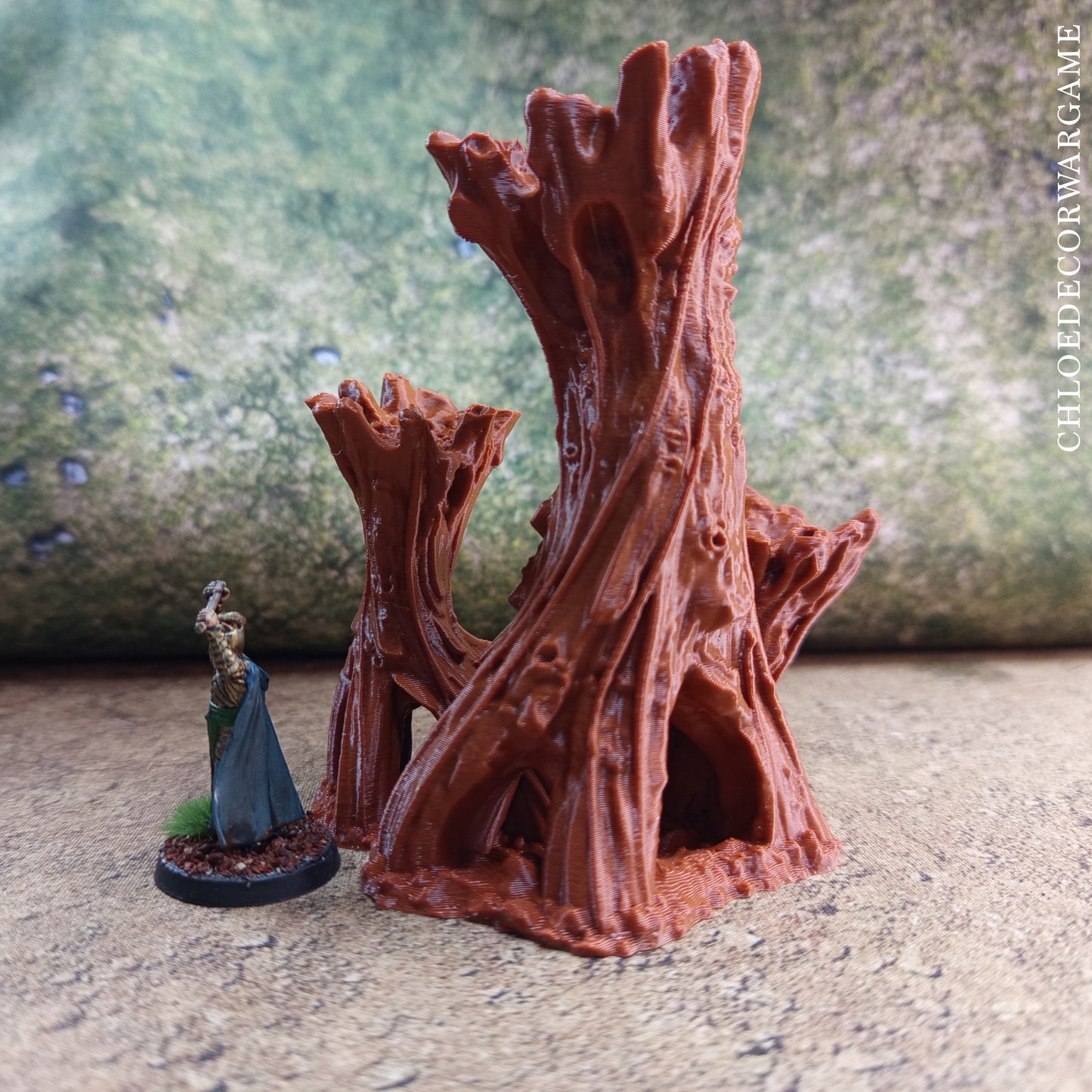 Arbre géant noueux