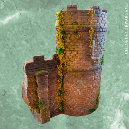 Ruines des murailles anciennes