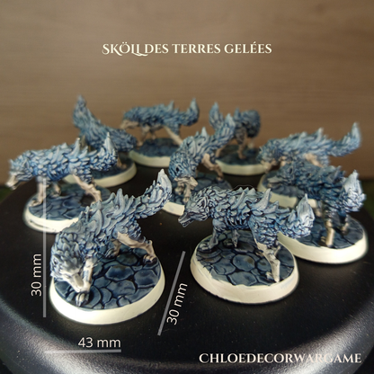 SKÖLL, des terres gelées