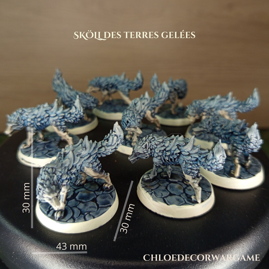 SKÖLL, des terres gelées