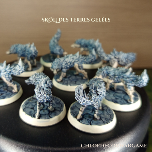 SKÖLL, des terres gelées