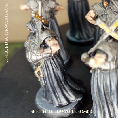 SENTINELLE DU VOILE SOMBRE ChloeDecorWargame