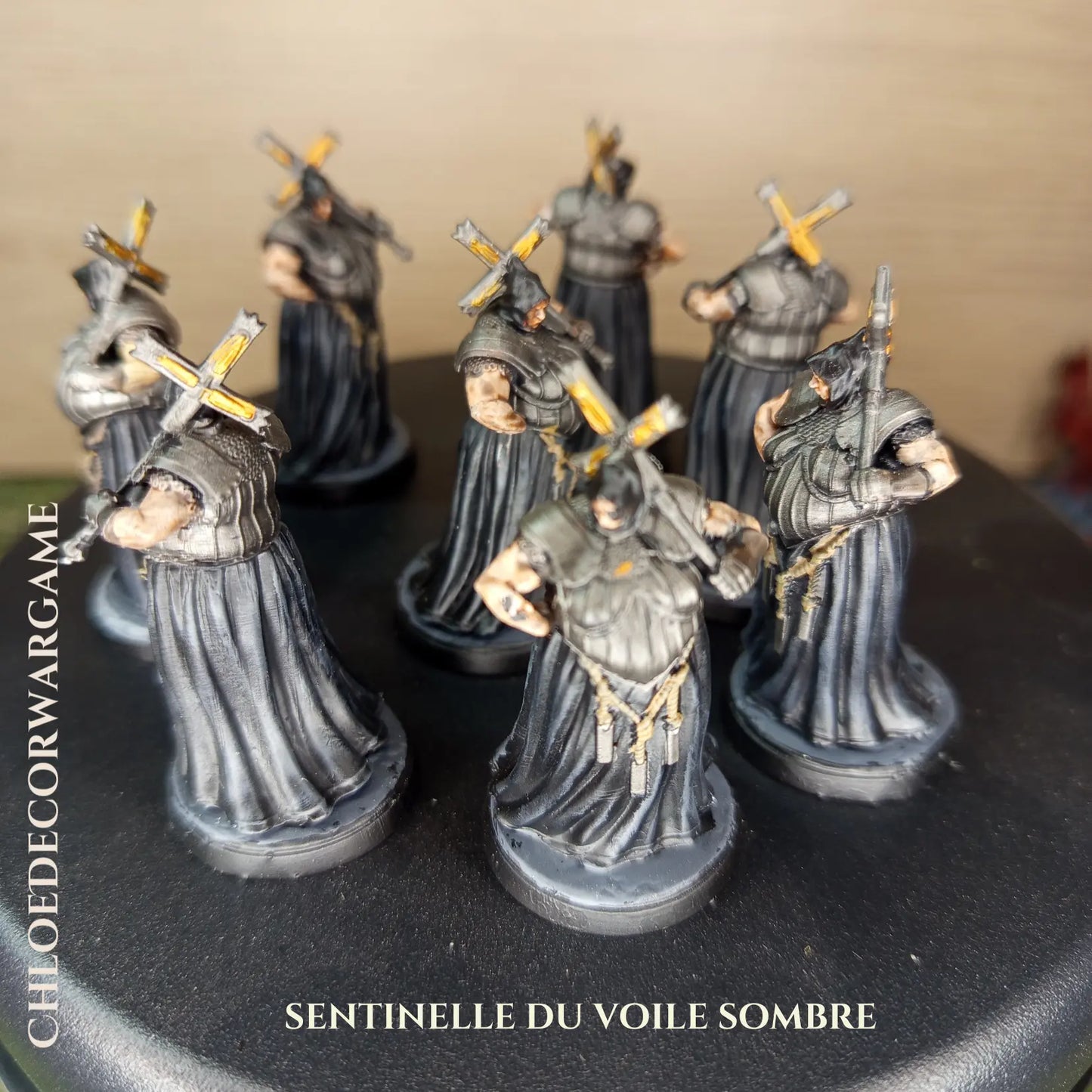 SENTINELLE DU VOILE SOMBRE ChloeDecorWargame