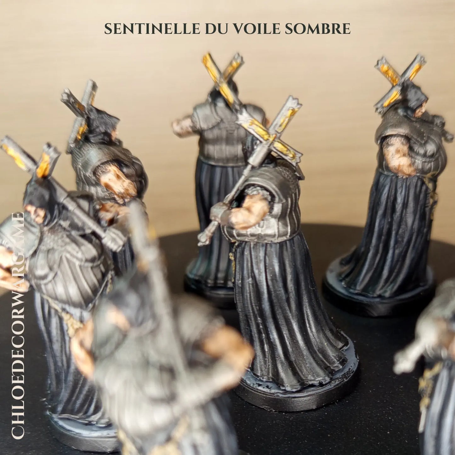 SENTINELLE DU VOILE SOMBRE ChloeDecorWargame