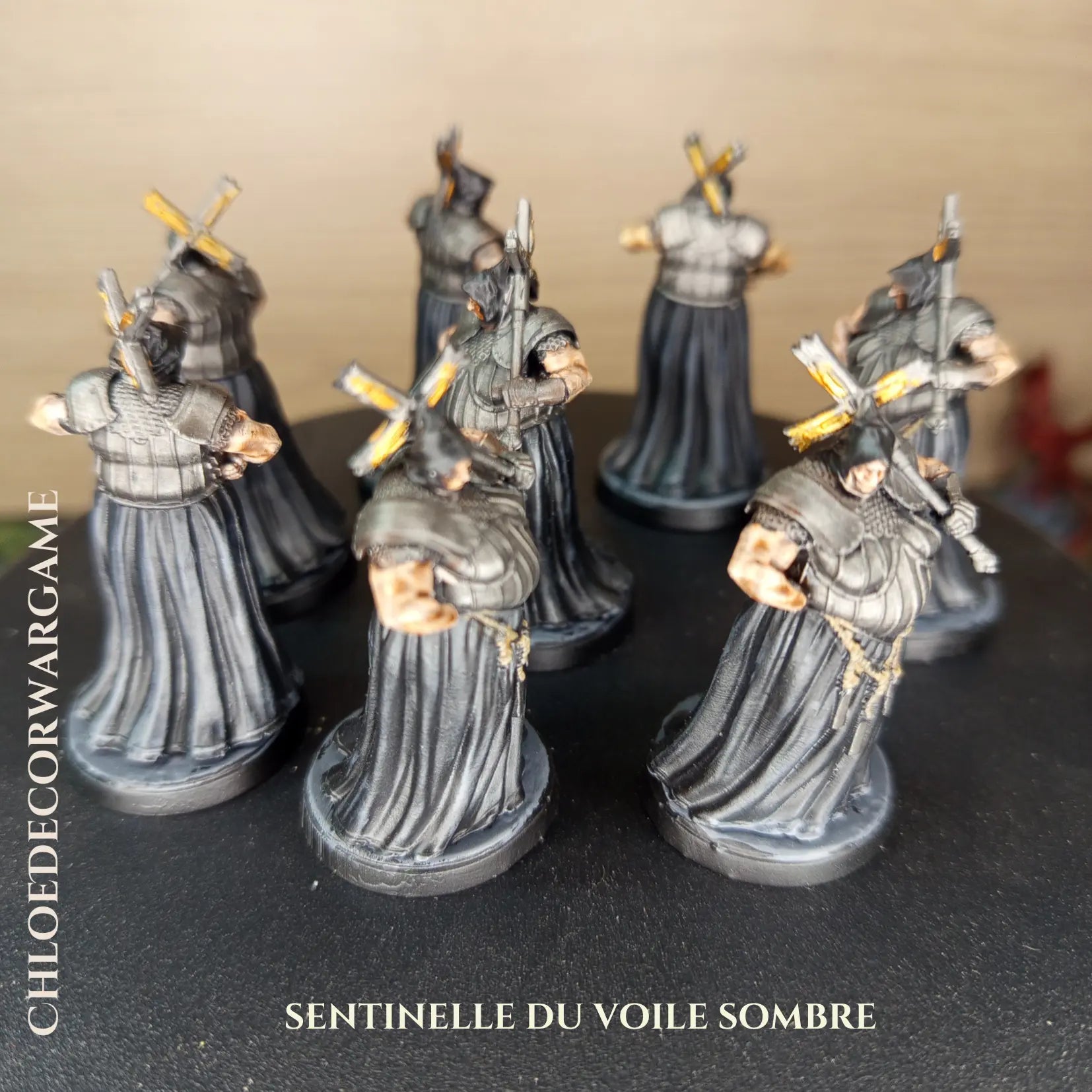 SENTINELLE DU VOILE SOMBRE ChloeDecorWargame
