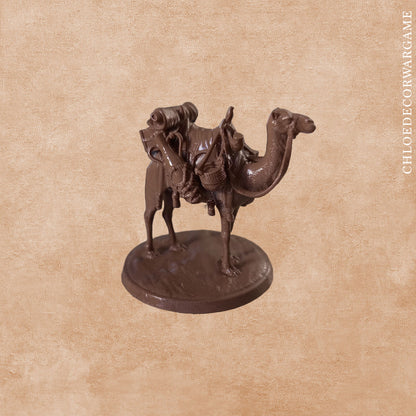 Convoi du Désert