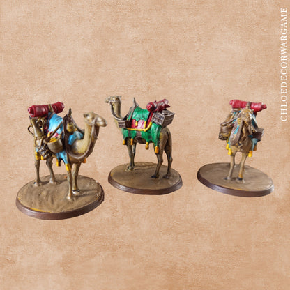 Pack Halte de la Caravane