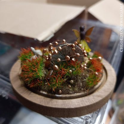 Les fées – Collection de Dioramas Fantasy sous Cloche