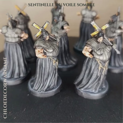 SENTINELLE DU VOILE SOMBRE